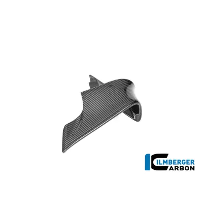 Aileron gauche circuit carbone pour BMW M 1000 RR | Ilmberger Carbon