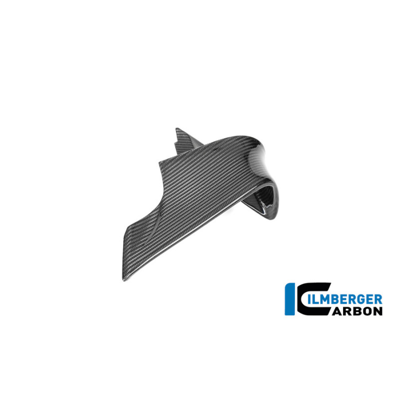Aileron gauche circuit carbone pour BMW M 1000 RR | Ilmberger Carbon