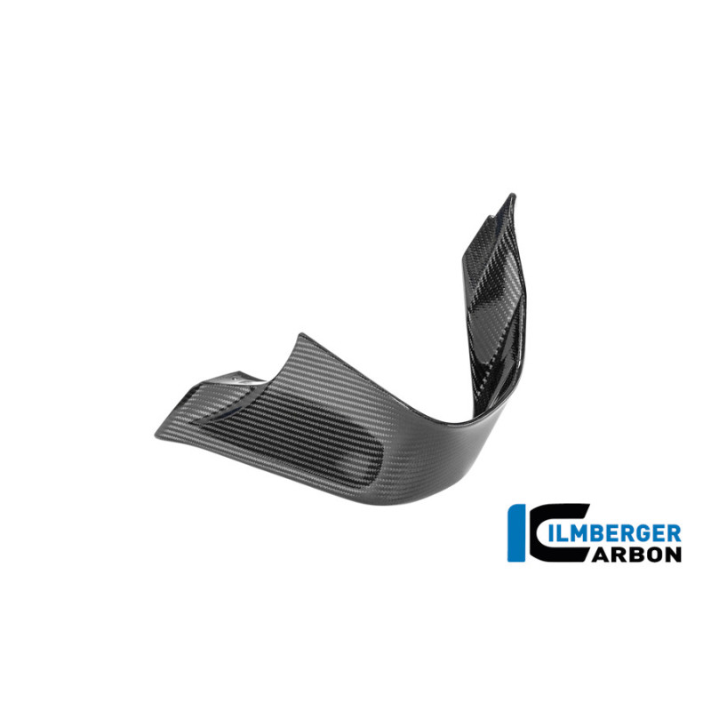Aileron gauche circuit carbone pour BMW M 1000 RR | Ilmberger Carbon