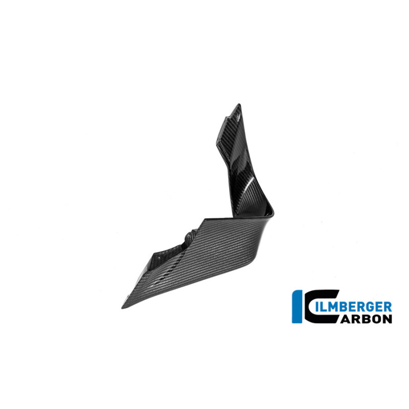 Aileron gauche circuit carbone pour BMW M 1000 RR | Ilmberger Carbon