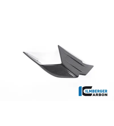 Aileron droit circuit carbone pour BMW M 1000 RR | Ilmberger Carbon