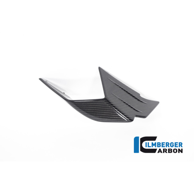 Aileron droit circuit carbone pour BMW M 1000 RR | Ilmberger Carbon