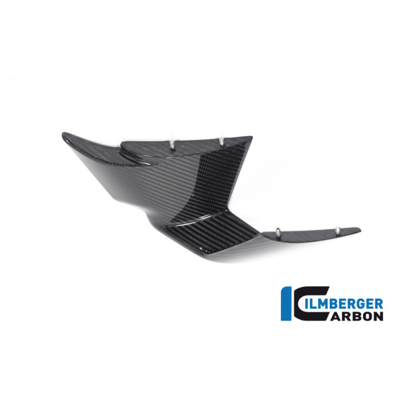 Aileron droit circuit carbone pour BMW M 1000 RR | Ilmberger Carbon