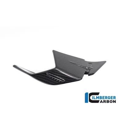 Aileron droit carbone pour BMW S 1000 RR | Ilmberger Carbon