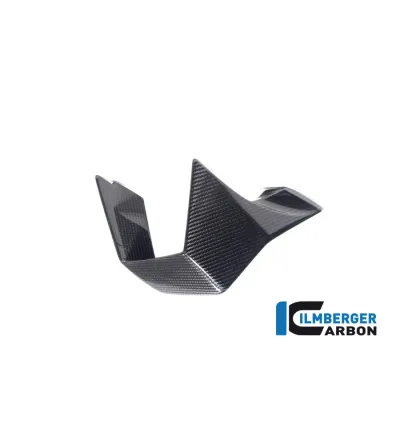 Aileron droit carbone pour BMW M 1000 RR | Ilmberger Carbon