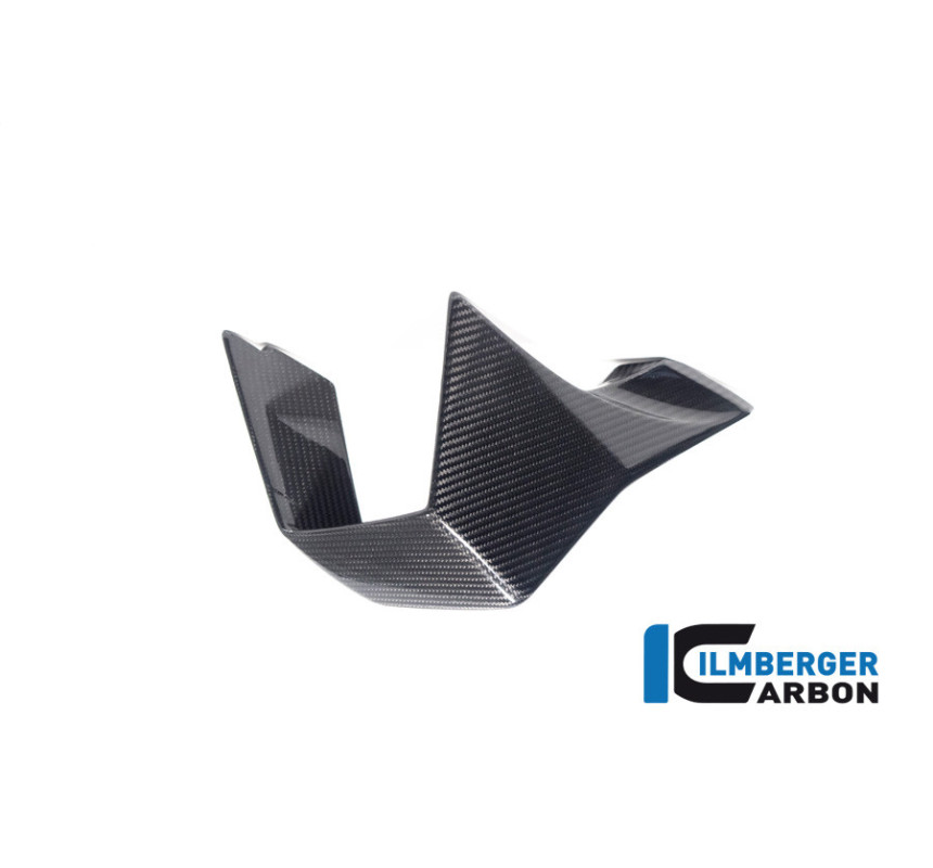 Aileron droit carbone pour BMW M 1000 RR | Ilmberger Carbon