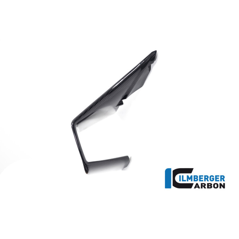 Aileron droit carbone pour BMW M 1000 RR | Ilmberger Carbon
