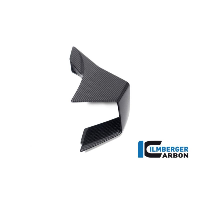 Aileron droit carbone pour BMW M 1000 RR | Ilmberger Carbon