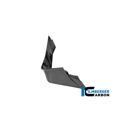 Aileron droit circuit carbone pour BMW M 1000 RR | Ilmberger Carbon
