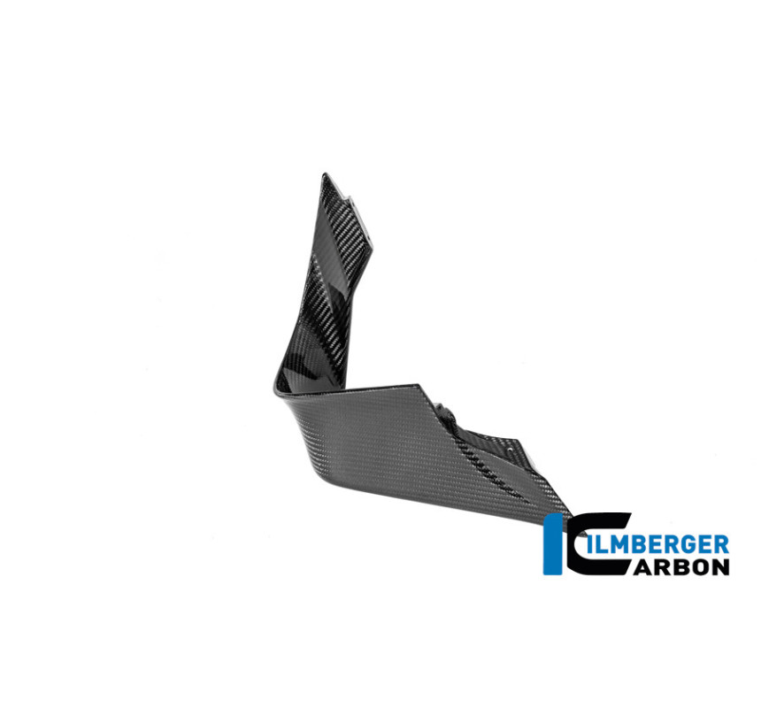 Aileron droit circuit carbone pour BMW M 1000 RR | Ilmberger Carbon