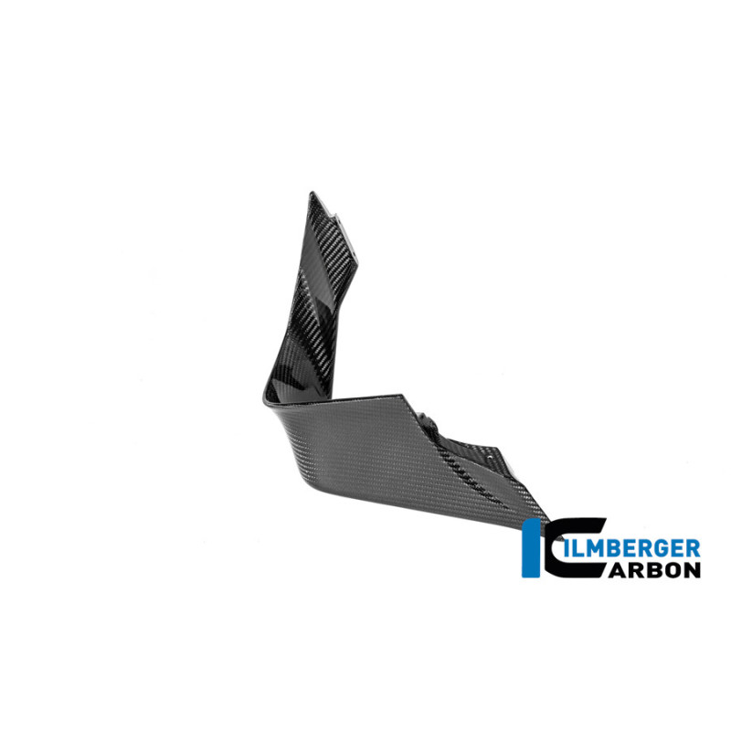 Aileron droit circuit carbone pour BMW M 1000 RR | Ilmberger Carbon