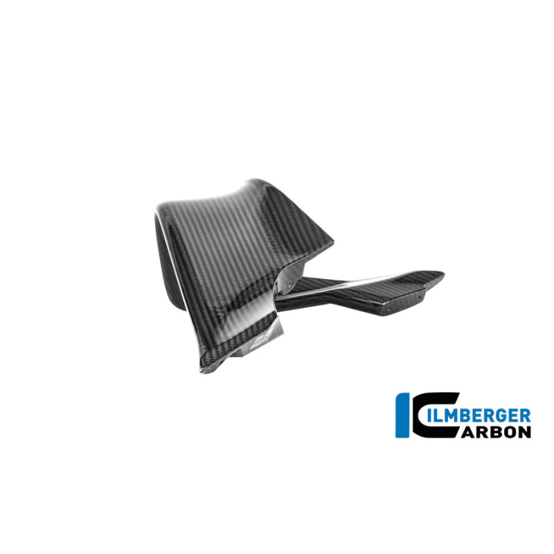 Aileron droit circuit carbone pour BMW M 1000 RR | Ilmberger Carbon