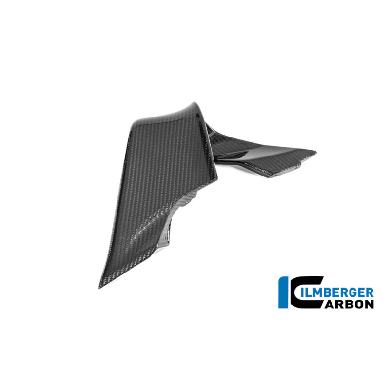 Aileron droit circuit carbone pour BMW M 1000 RR | Ilmberger Carbon