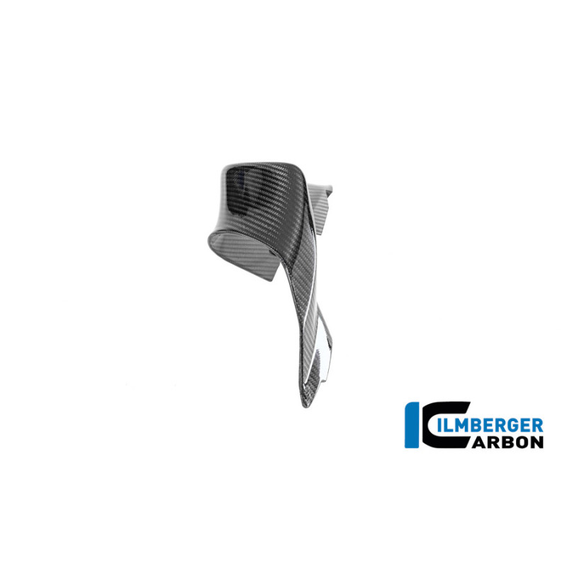 Aileron droit circuit carbone pour BMW M 1000 RR | Ilmberger Carbon