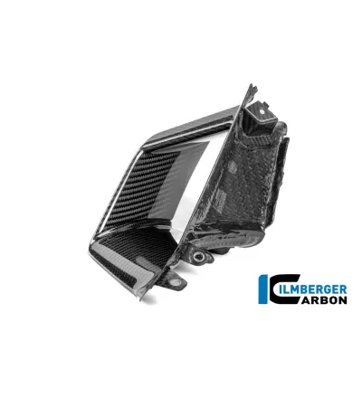 Aileron intérieur gauche carbone pour BMW S 1000 RR | Ilmberger Carbon