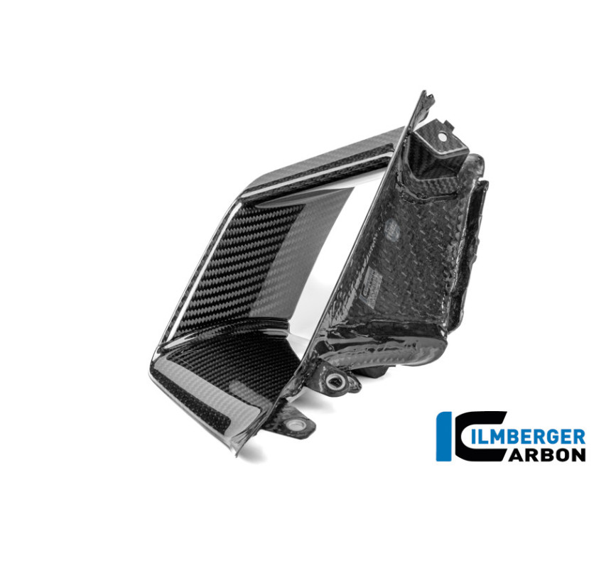 Aileron intérieur gauche carbone pour BMW S 1000 RR | Ilmberger Carbon