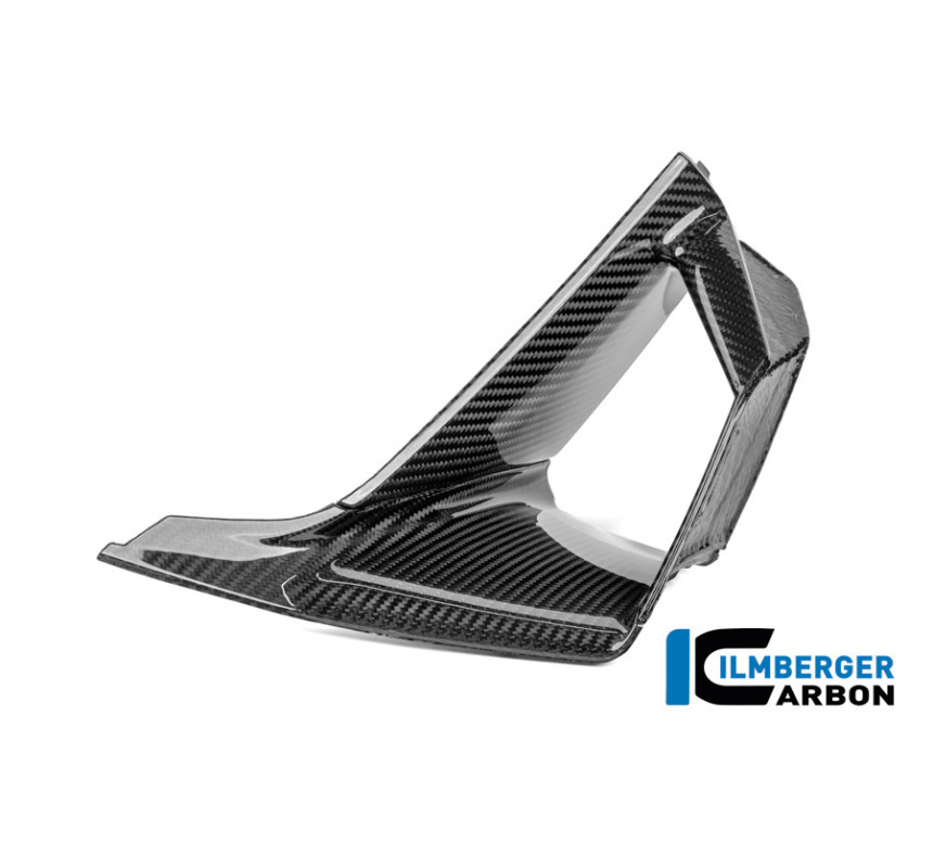Aileron intérieur droit carbone pour BMW S 1000 RR | Ilmberger Carbon