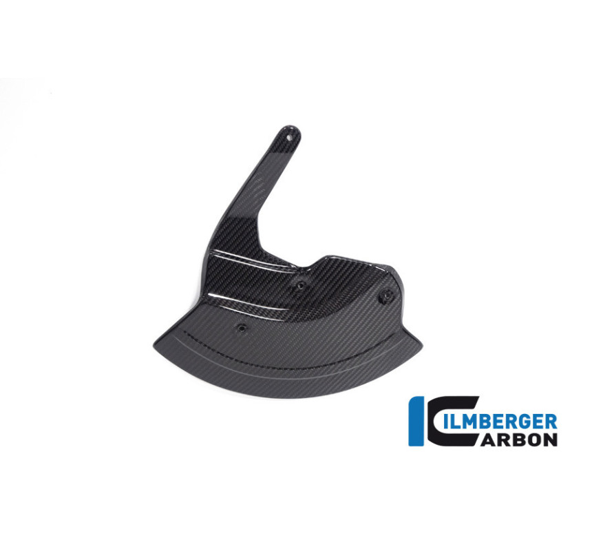 Cache de jante gauche carbone pour BMW M 1000 RR | Ilmberger Carbon