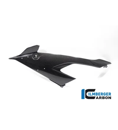 Flanc de carénage gauche carbone pour BMW M 1000 RR | Ilmberger Carbon