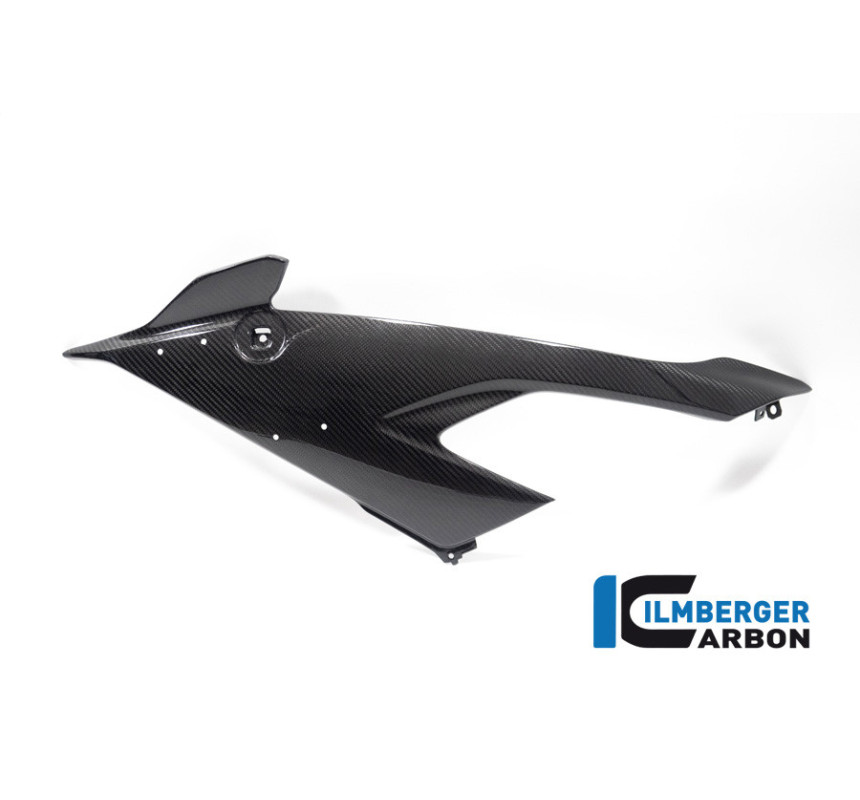 Flanc de carénage gauche carbone pour BMW M 1000 RR | Ilmberger Carbon