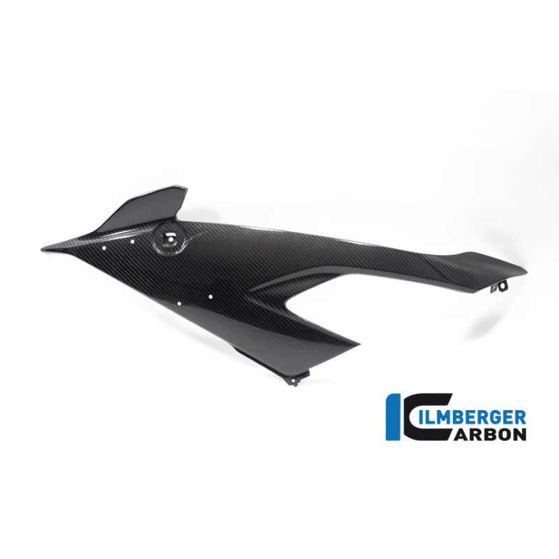 Flanc de carénage gauche carbone pour BMW M 1000 RR | Ilmberger Carbon