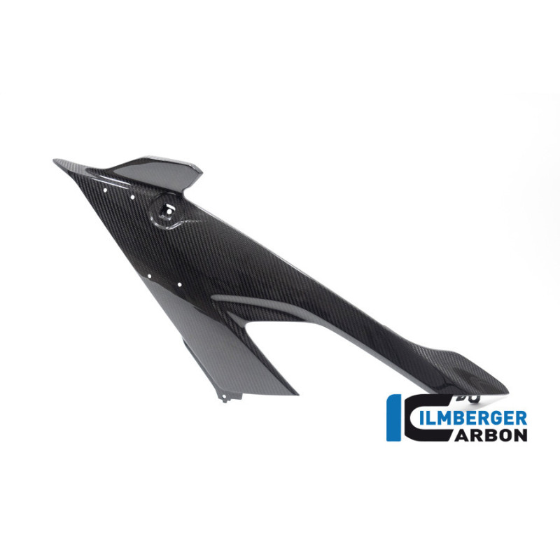 Flanc de carénage gauche carbone pour BMW M 1000 RR | Ilmberger Carbon
