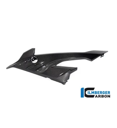 Flanc de carénage gauche carbone pour BMW S 1000 RR | Ilmberger Carbon