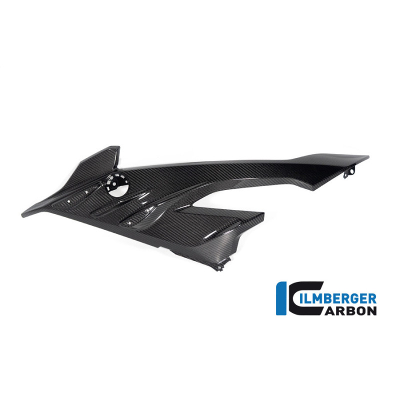 Flanc de carénage gauche carbone pour BMW S 1000 RR | Ilmberger Carbon