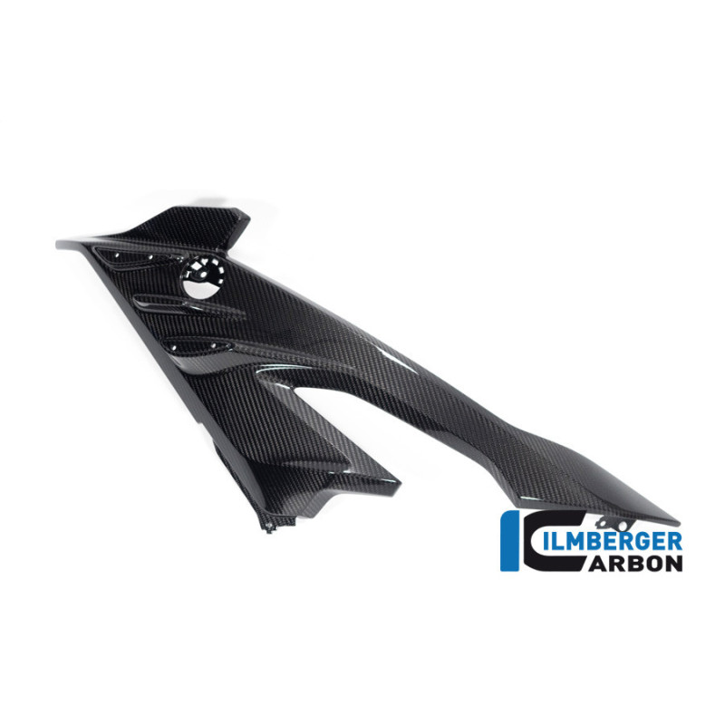 Flanc de carénage gauche carbone pour BMW S 1000 RR | Ilmberger Carbon