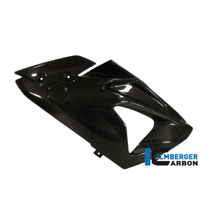 Flanc de carénage gauche circuit pour S 1000 RR 2012-2014
