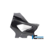 Flanc de carénage gauche circuit carbone pour BMW M 1000 RR | Ilmberger Carbon