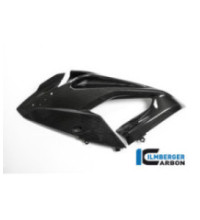 Flanc de carénage gauche carbone pour BMW S 1000 RR | Ilmberger Carbon