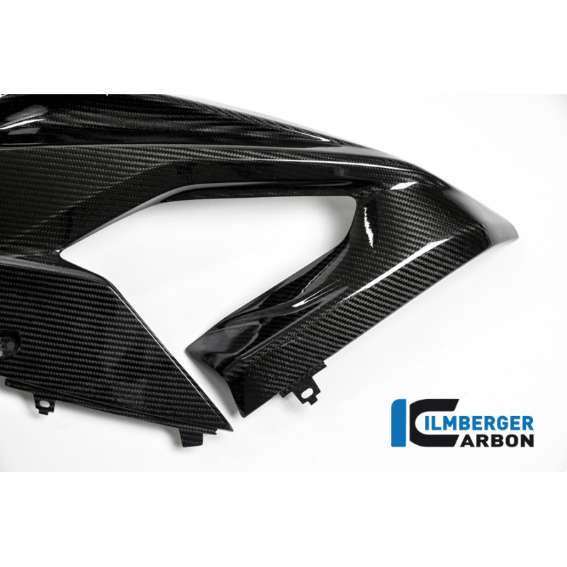 Flanc de carénage gauche carbone pour BMW S 1000 RR | Ilmberger Carbon