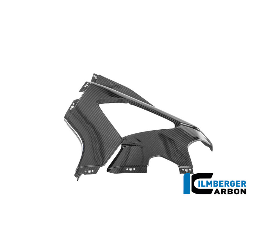 Flanc de carénage gauche circuit carbone pour BMW M 1000 RR | Ilmberger Carbon