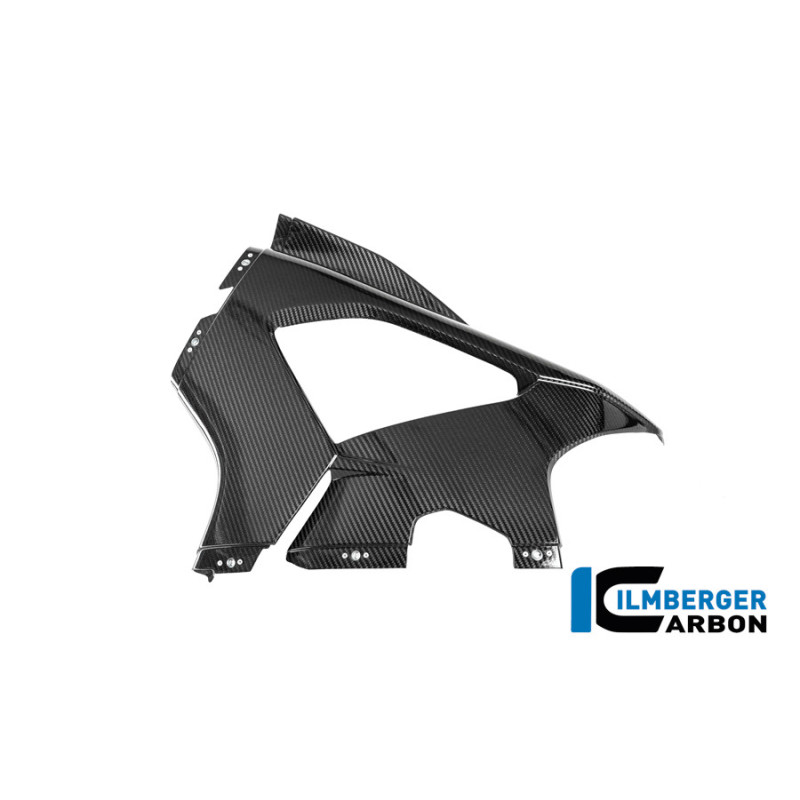 Flanc de carénage gauche circuit carbone pour BMW M 1000 RR | Ilmberger Carbon
