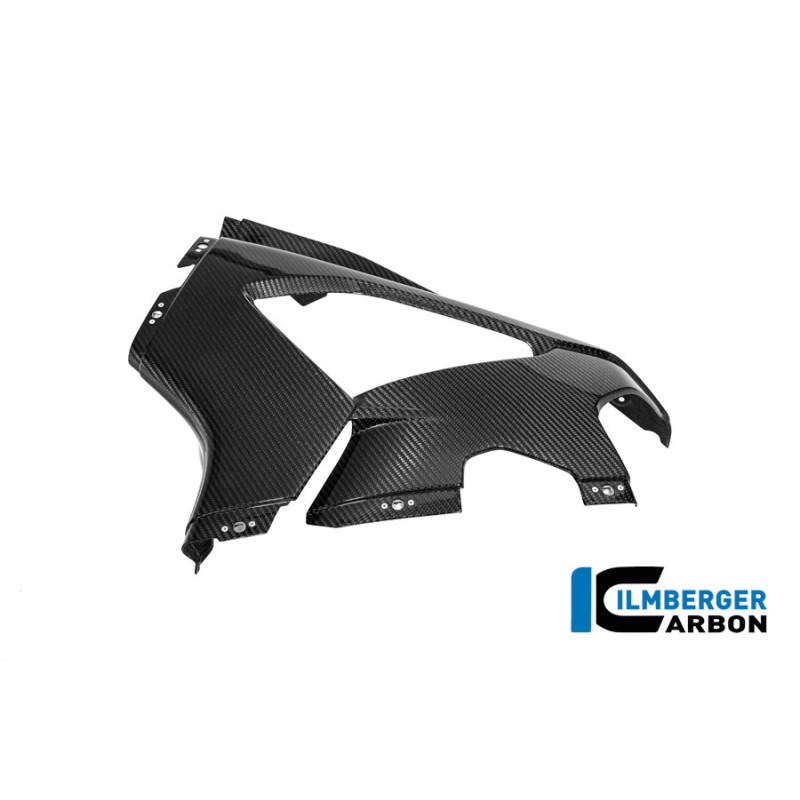 Flanc de carénage gauche circuit carbone pour BMW M 1000 RR | Ilmberger Carbon