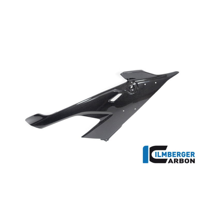 Flanc de carénage droit carbone pour BMW M 1000 RR | Ilmberger Carbon