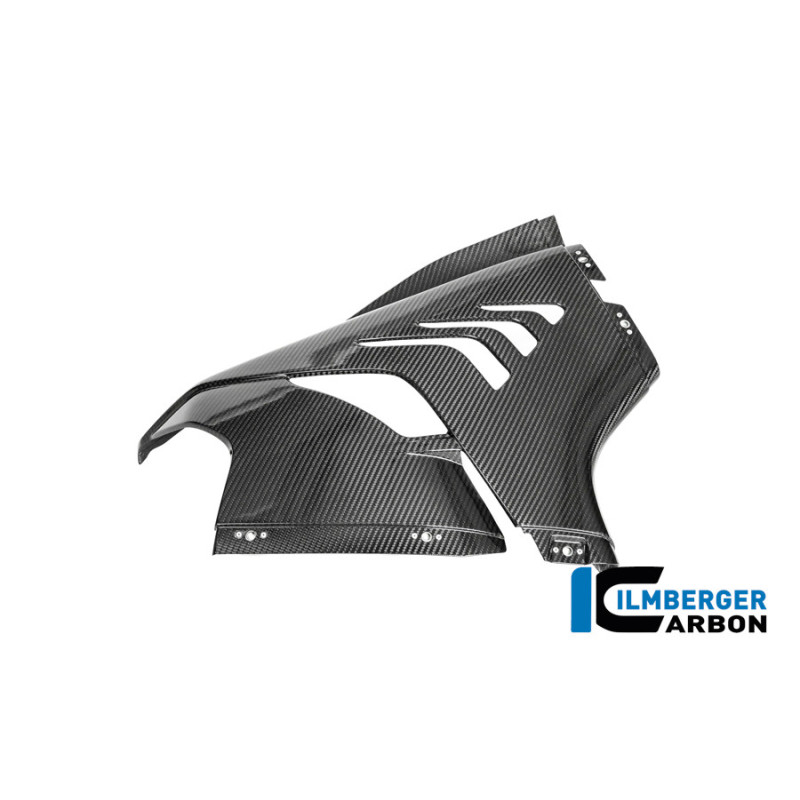 Flanc de carénage droit circuit carbone pour BMW M 1000 RR | Ilmberger Carbon