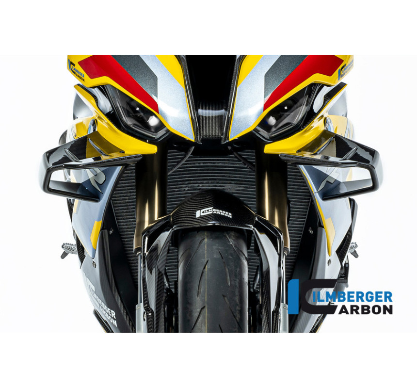Kit d'ailerons carbone pour BMW S & M 1000 RR | Ilmberger Carbon