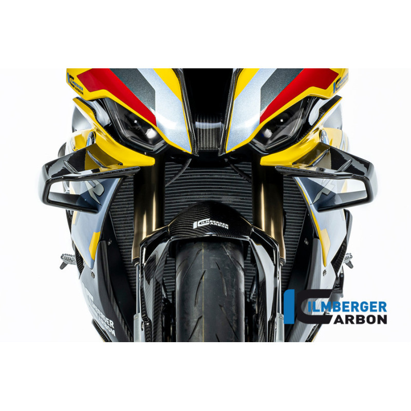 Kit d'ailerons carbone pour BMW S & M 1000 RR | Ilmberger Carbon