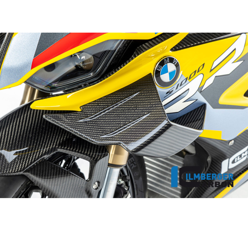 Kit d'ailerons pour S & M 1000 RR