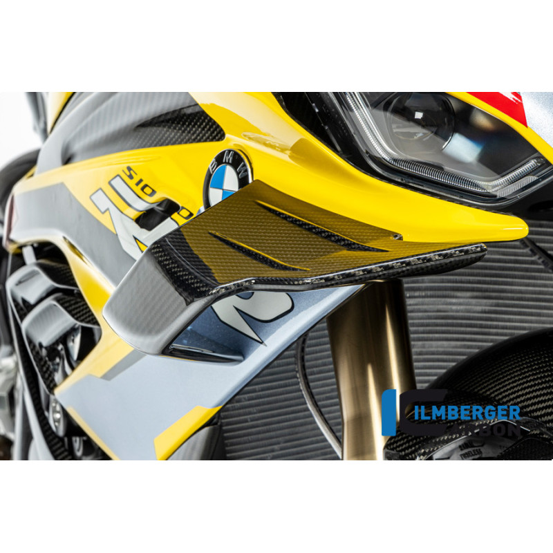 Kit d'ailerons carbone pour BMW S & M 1000 RR | Ilmberger Carbon