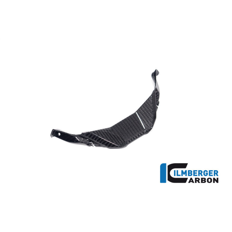 Partie centrale de carénage carbone pour BMW S 1000 RR | Ilmberger Carbon