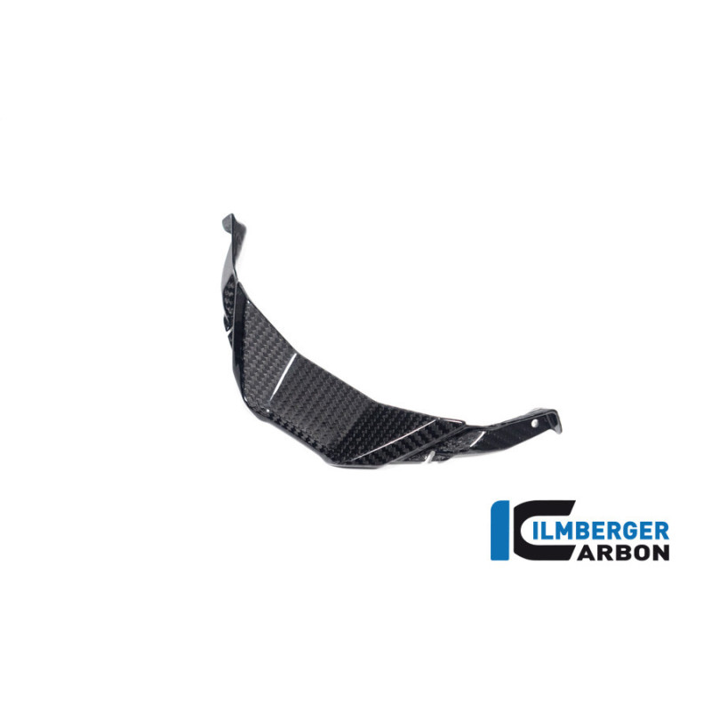 Partie centrale de carénage carbone pour BMW S 1000 RR | Ilmberger Carbon