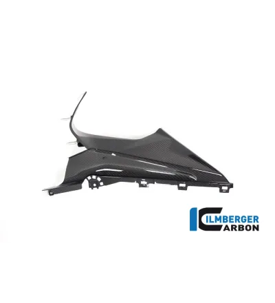 Partie supérieure de flanc de carénage gauche carbone pour BMW S & M 1000 RR | Ilmberger Carbon