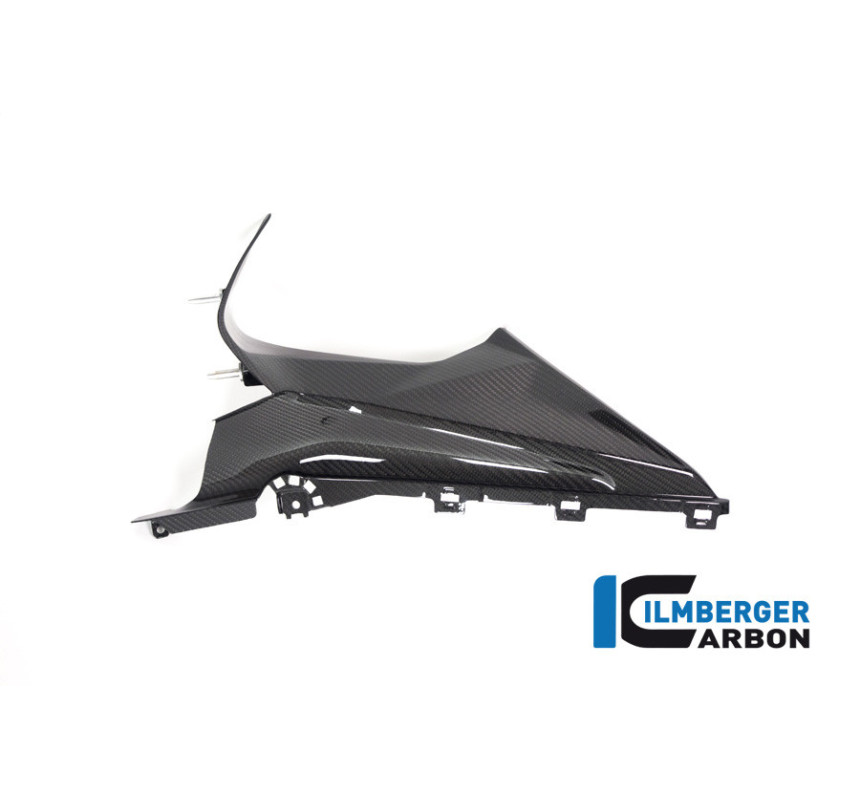 Partie supérieure de flanc de carénage gauche carbone pour BMW S & M 1000 RR | Ilmberger Carbon