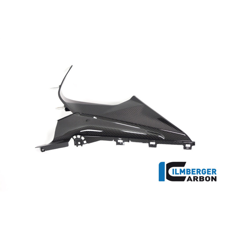 Partie supérieure de flanc de carénage gauche carbone pour BMW S & M 1000 RR | Ilmberger Carbon