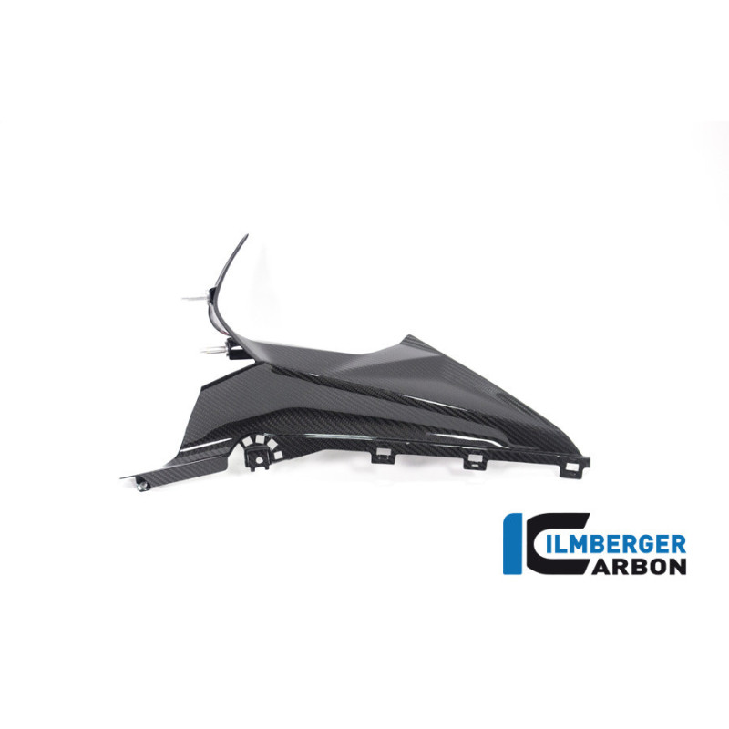 Partie supérieure de flanc de carénage gauche carbone pour BMW S & M 1000 RR | Ilmberger Carbon