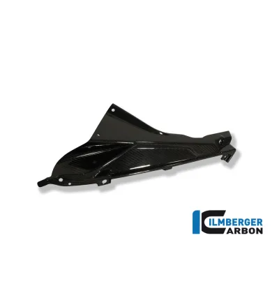 Partie supérieure de flanc de carénage gauche carbone pour BMW S 1000 RR | Ilmberger Carbon