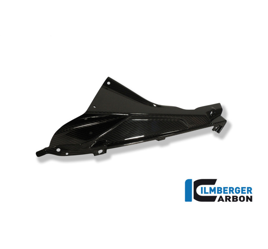 Partie supérieure de flanc de carénage gauche carbone pour BMW S 1000 RR | Ilmberger Carbon